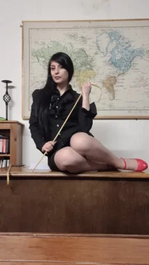 SOR GovontheNoticeBoarddeskinredshoes 214x380