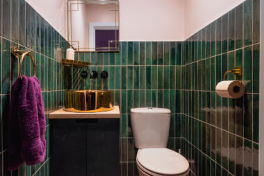 AMANITAPICS 10 380x254