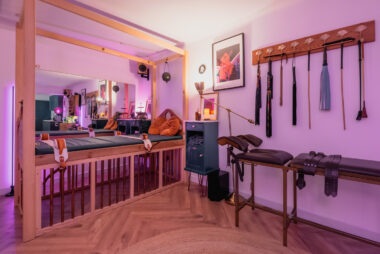 AMANITAPICS 17 380x254