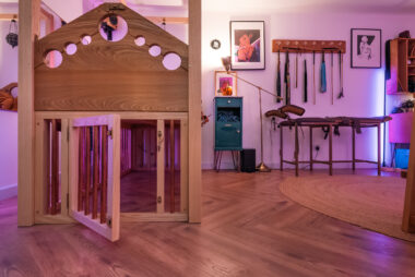 AMANITAPICS 24 380x254