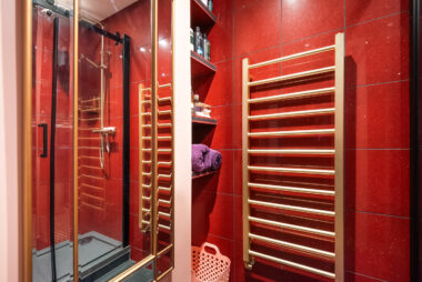 AMANITAPICS 30 380x254