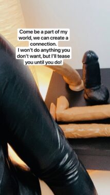 IMG 0494 214x380